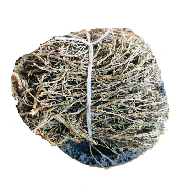 Thyme (Tomillo)