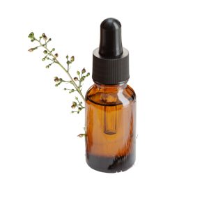 Mugwort Essential Oil