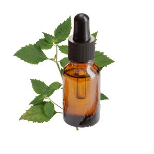 Patchouli Essential Oil