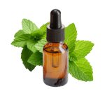 Peppermint / Menta Essential Oil