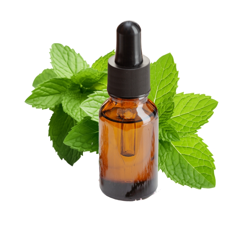 Peppermint / Menta Essential Oil