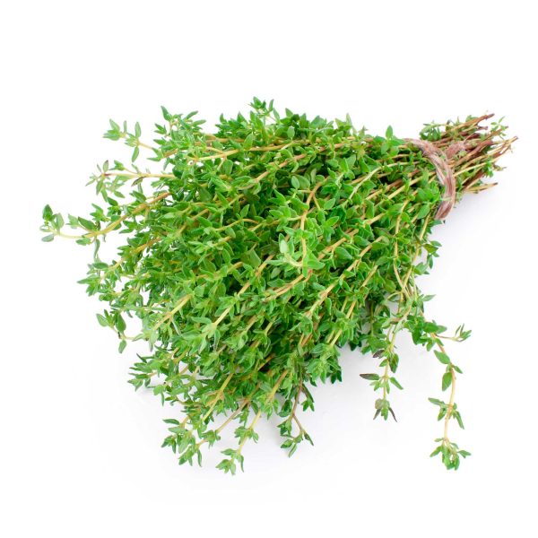 Thyme (Tomillo) - Image 3